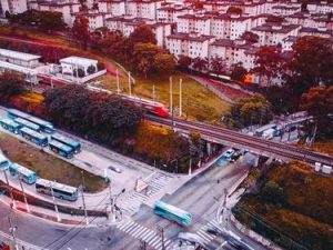 Protect Plants on Public Transportaion Routes