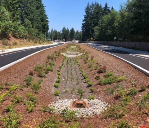 Vegetated bioswale with a storm drain between freshly paved roads